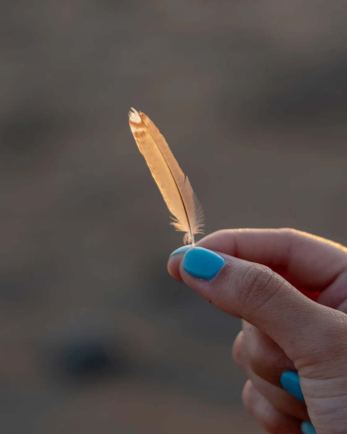 Bright blue painted nail holding a small feather outdoors
